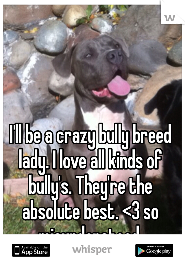 I'll be a crazy bully breed lady. I love all kinds of bully's. They're the absolute best. <3 so misunderstood. 