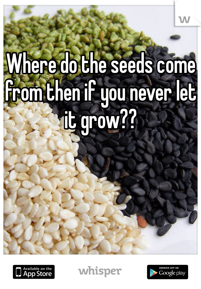 Where do the seeds come from then if you never let it grow??