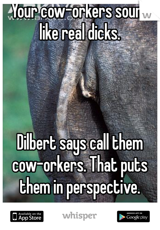 Your cow-orkers sound like real dicks. 




Dilbert says call them cow-orkers. That puts them in perspective. 