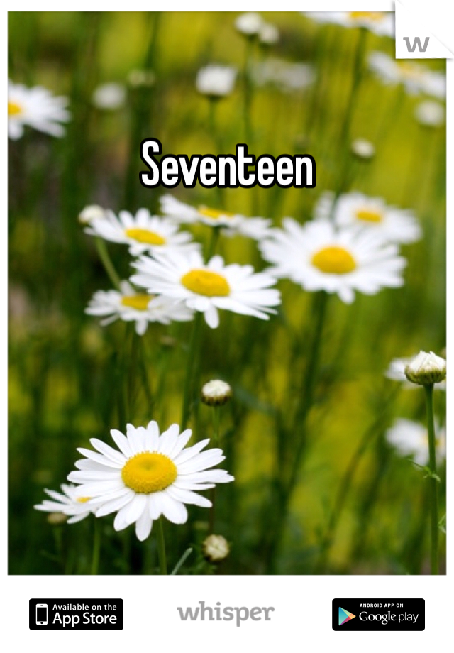 Seventeen 