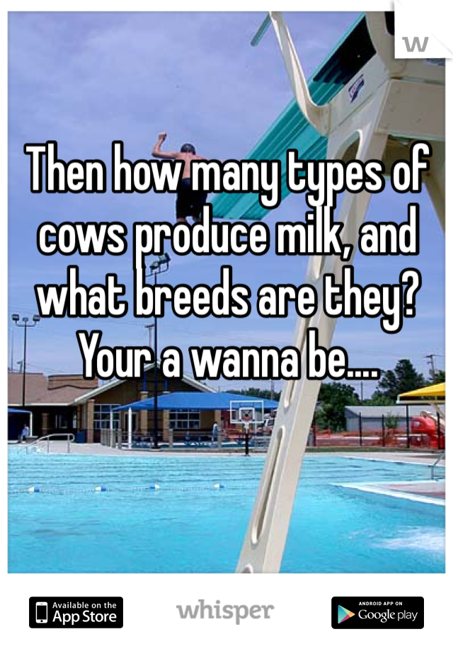 Then how many types of cows produce milk, and what breeds are they? Your a wanna be....