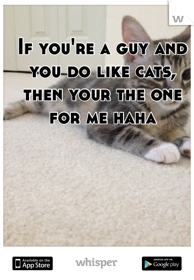 If you're a guy and you do like cats, then your the one for me haha