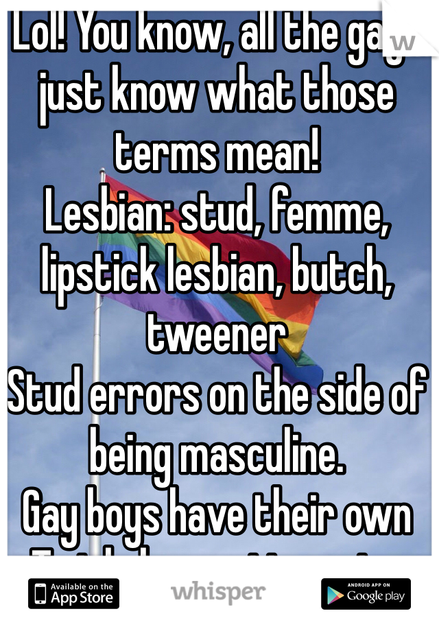 Lol! You know, all the gays just know what those terms mean! 
Lesbian: stud, femme, lipstick lesbian, butch, tweener
Stud errors on the side of being masculine. 
Gay boys have their own
Twink, bear, otter, etc. 