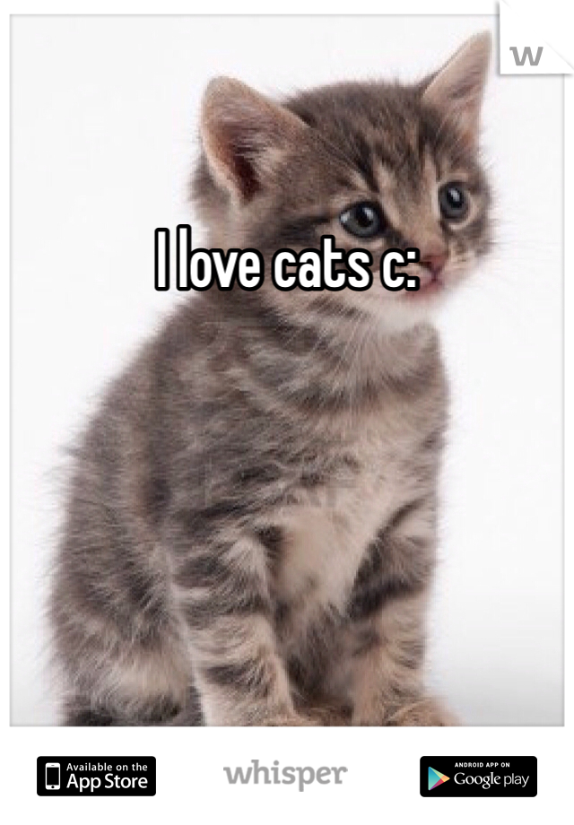 I love cats c: