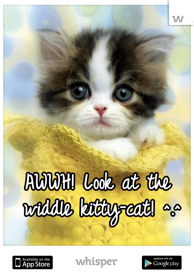 AWWH! Look at the widdle kitty-cat! ^.^