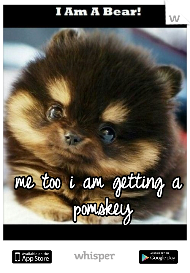 me too i am getting a pomskey