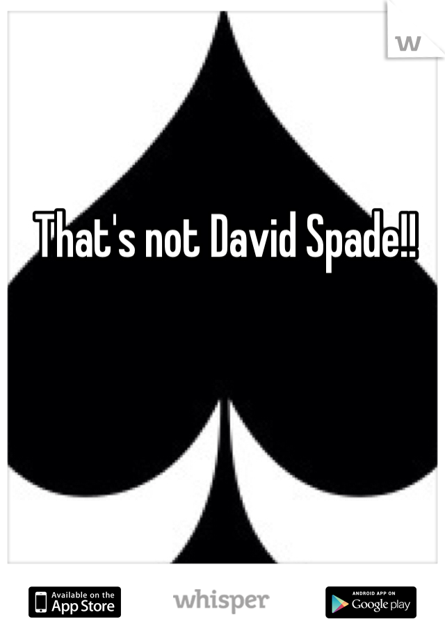 That's not David Spade!!