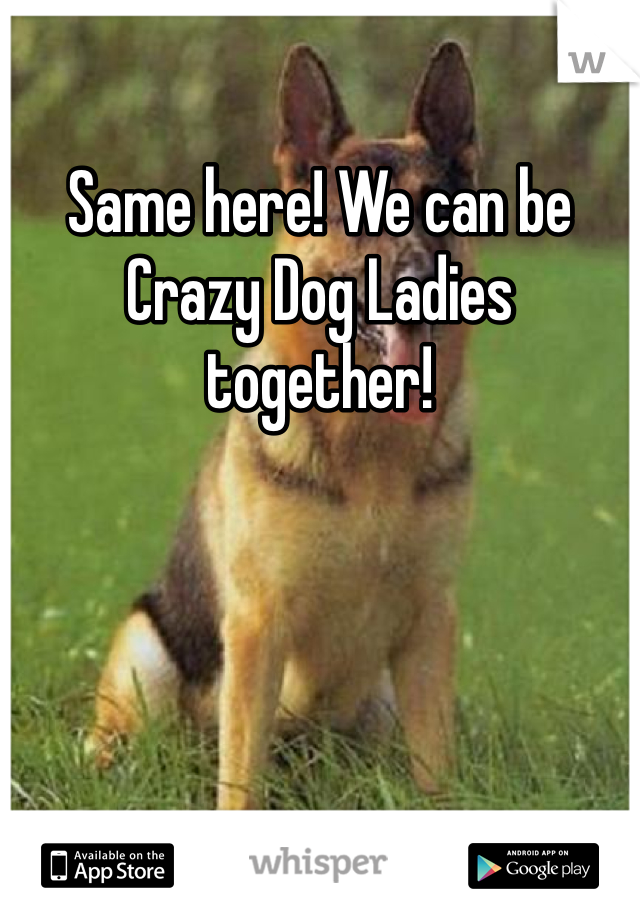 Same here! We can be Crazy Dog Ladies together! 