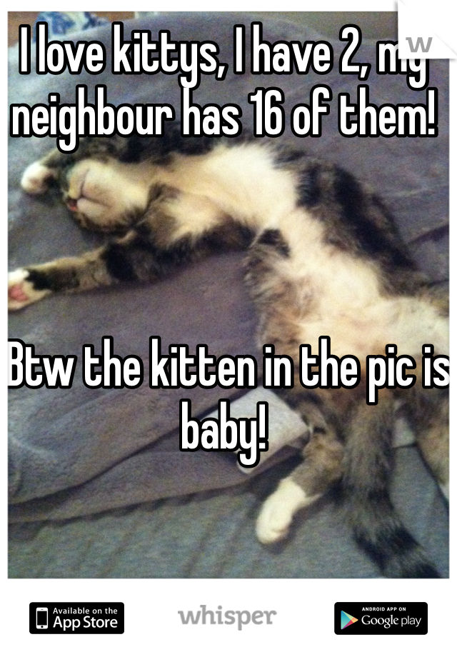 I love kittys, I have 2, my neighbour has 16 of them!   



 Btw the kitten in the pic is baby!