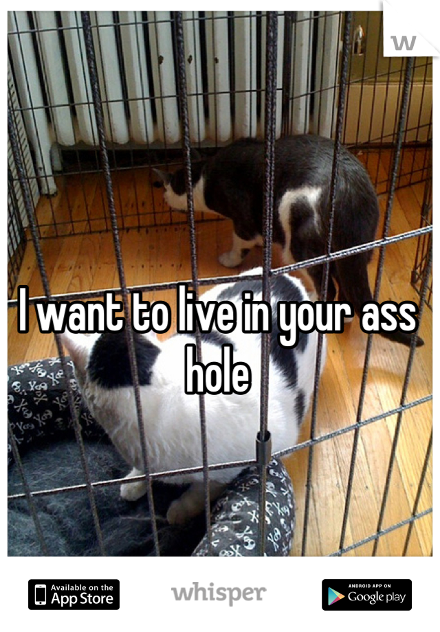I want to live in your ass hole