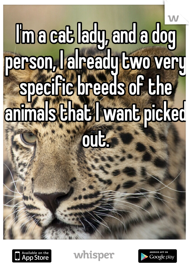 I'm a cat lady, and a dog person, I already two very specific breeds of the animals that I want picked out. 