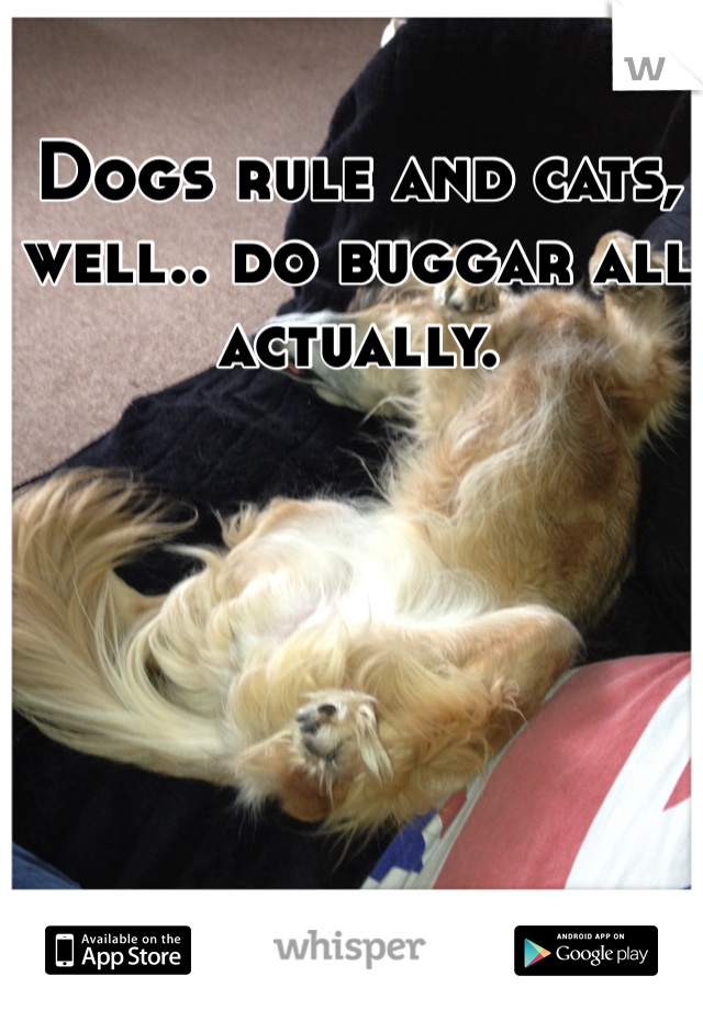 Dogs rule and cats, well.. do buggar all actually.