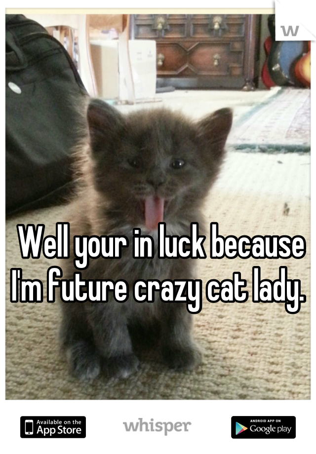 Well your in luck because I'm future crazy cat lady. 