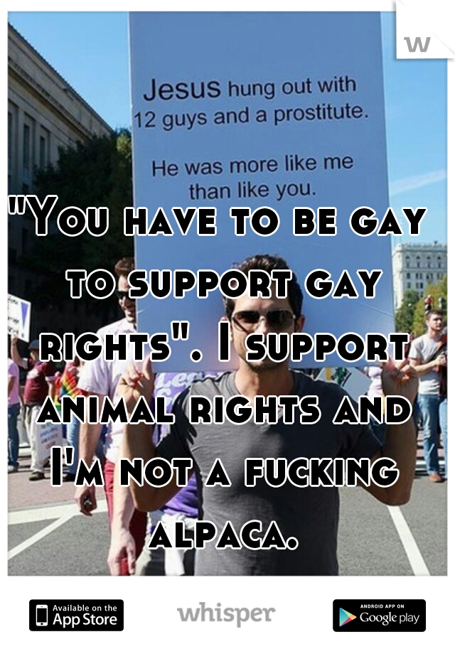 "You have to be gay to support gay rights". I support animal rights and I'm not a fucking alpaca.