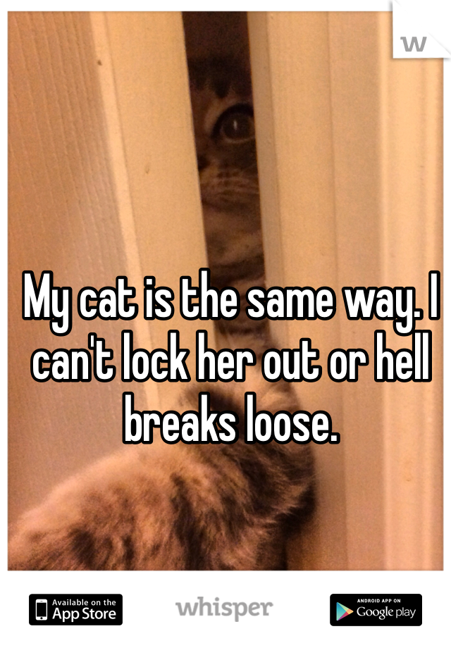 My cat is the same way. I can't lock her out or hell breaks loose. 