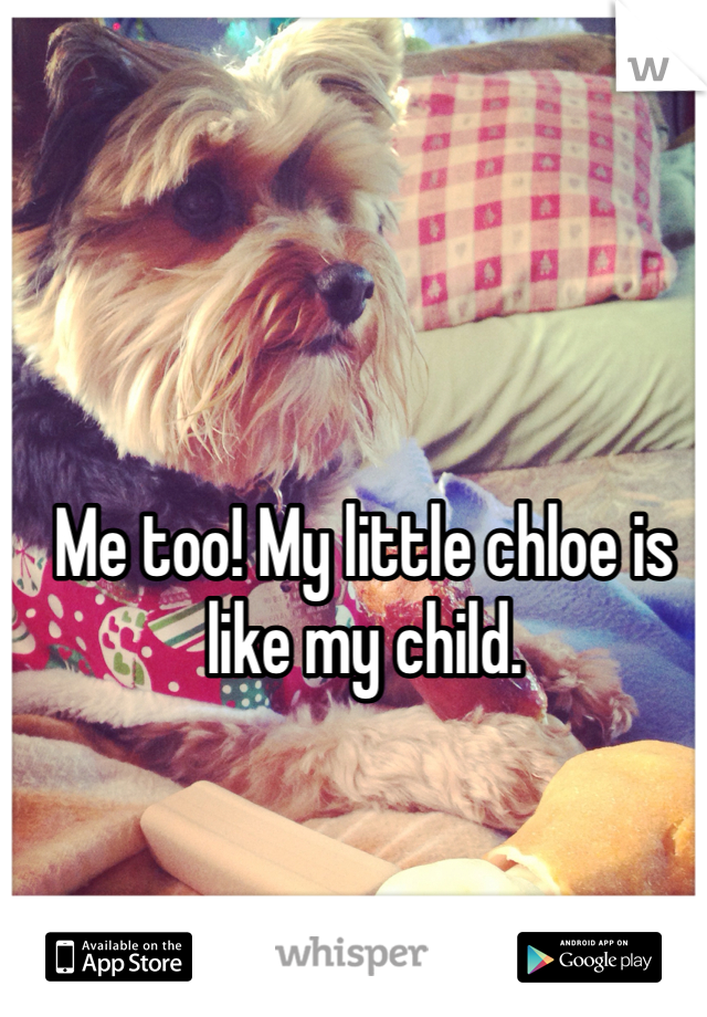 Me too! My little chloe is like my child.