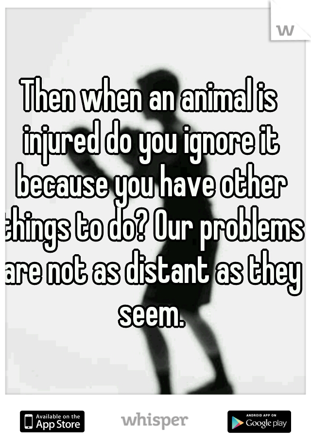 Then when an animal is injured do you ignore it because you have other things to do? Our problems are not as distant as they seem.