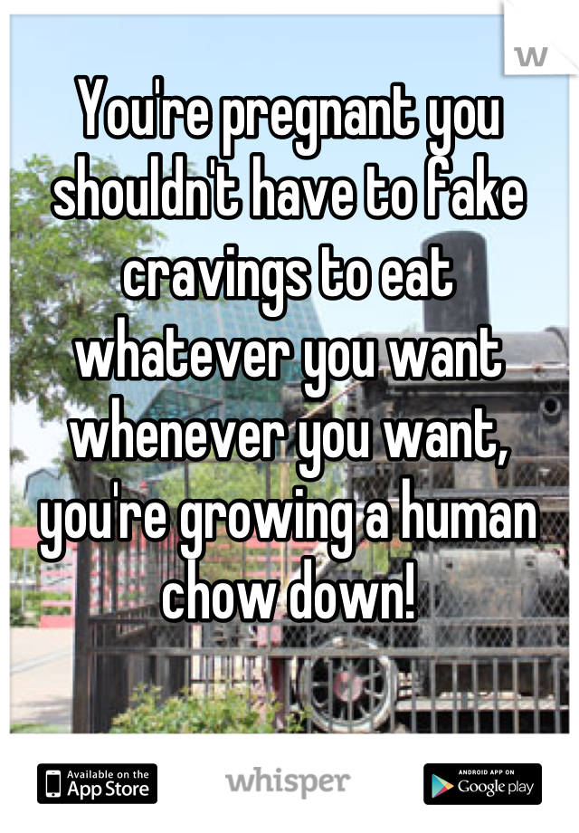 You're pregnant you shouldn't have to fake cravings to eat whatever you want whenever you want, you're growing a human chow down!