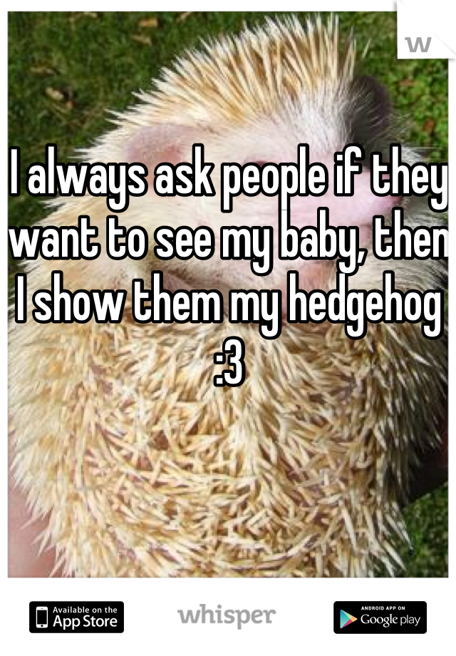 I always ask people if they want to see my baby, then I show them my hedgehog :3