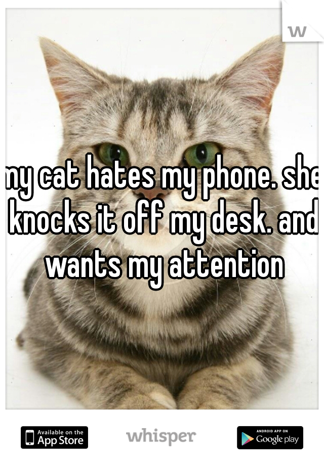 my cat hates my phone. she knocks it off my desk. and wants my attention