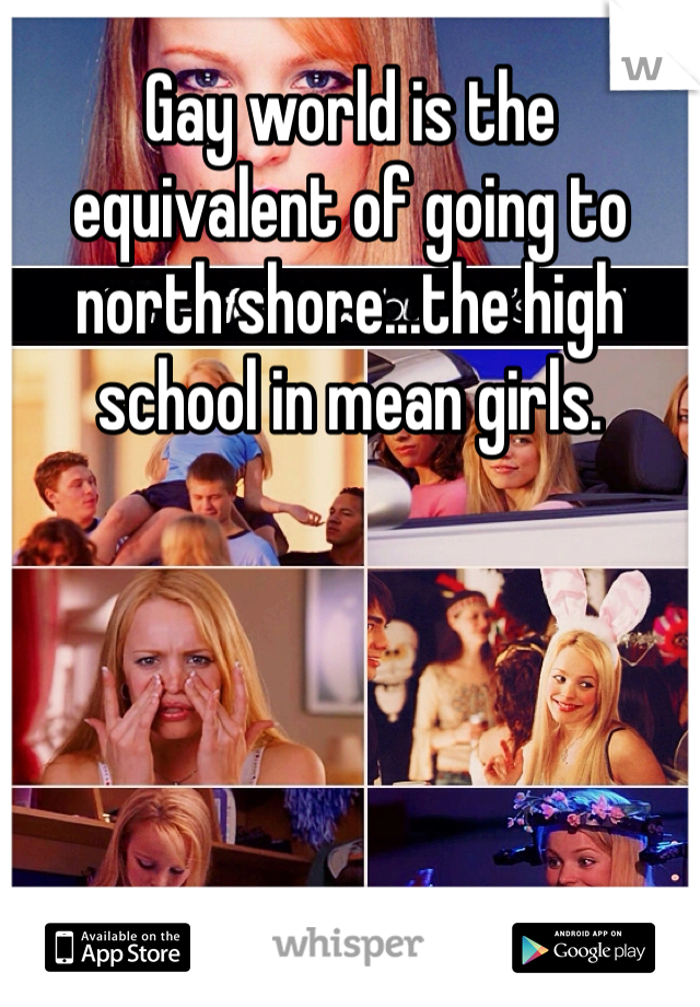 Gay world is the equivalent of going to north shore...the high school in mean girls. 