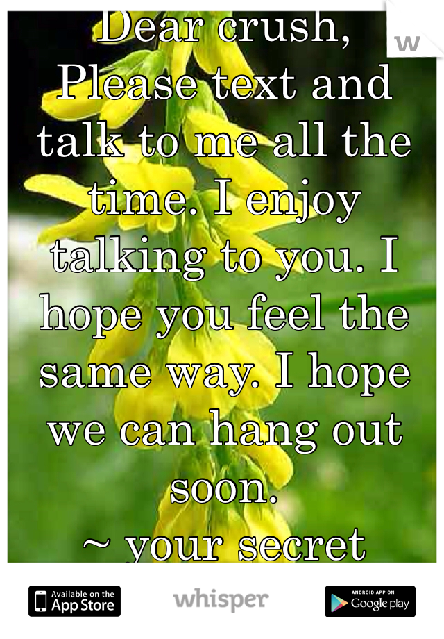 Dear crush, 
Please text and talk to me all the time. I enjoy talking to you. I hope you feel the same way. I hope we can hang out soon. 
~ your secret admirer 