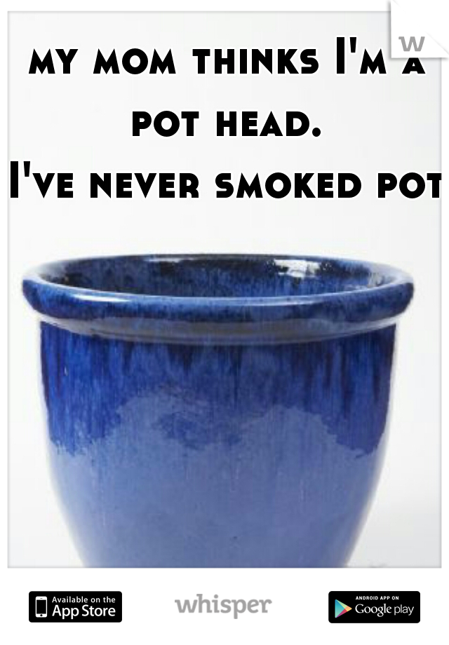 my mom thinks I'm a pot head. 
I've never smoked pot.
 