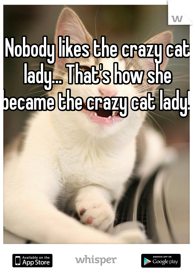 Nobody likes the crazy cat lady... That's how she became the crazy cat lady!!