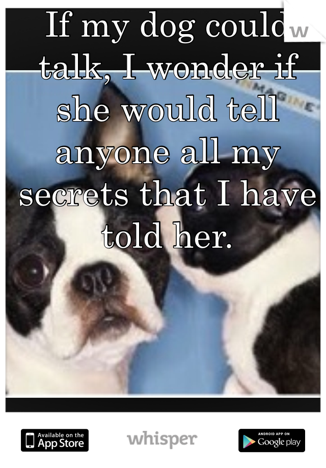 If my dog could talk, I wonder if she would tell anyone all my secrets that I have told her. 