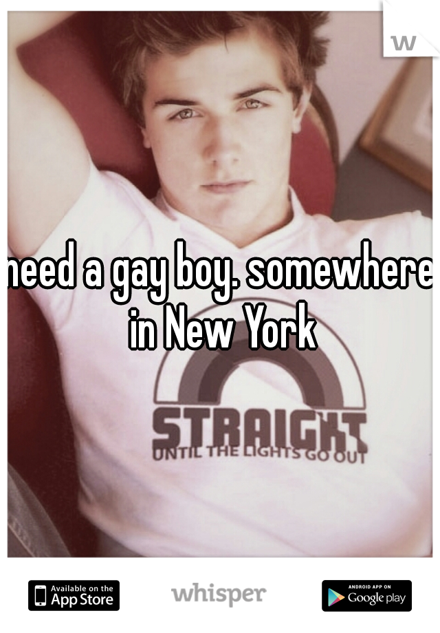 need a gay boy. somewhere in New York