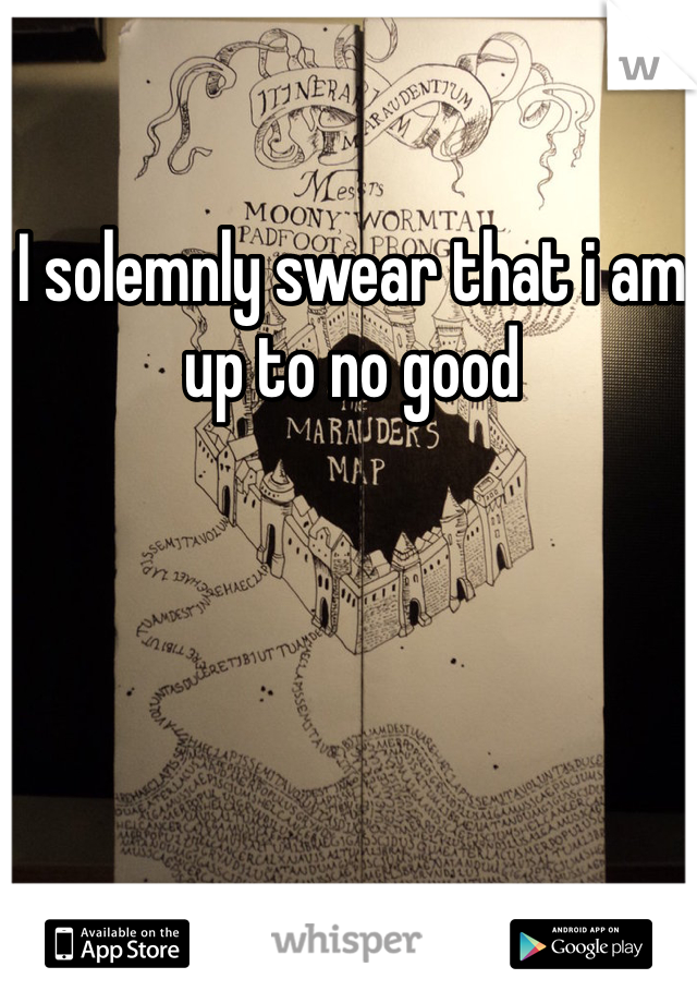 I solemnly swear that i am up to no good