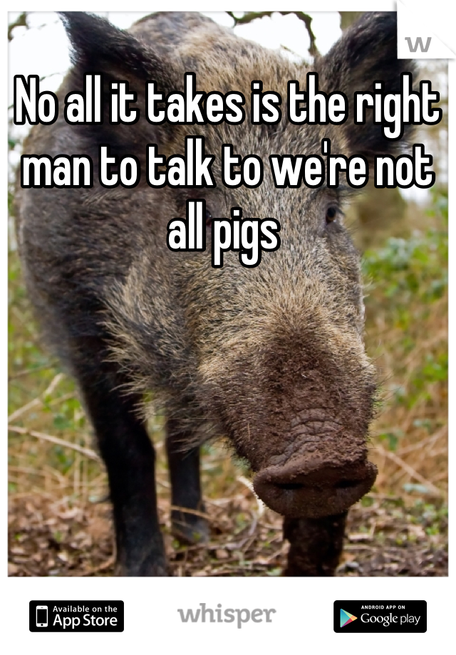 No all it takes is the right man to talk to we're not all pigs 