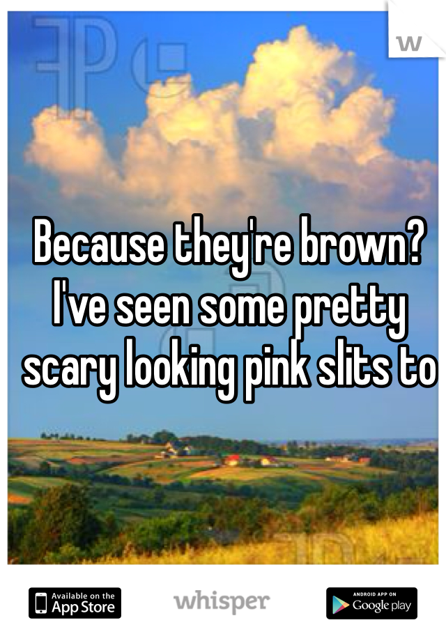 Because they're brown? I've seen some pretty scary looking pink slits to