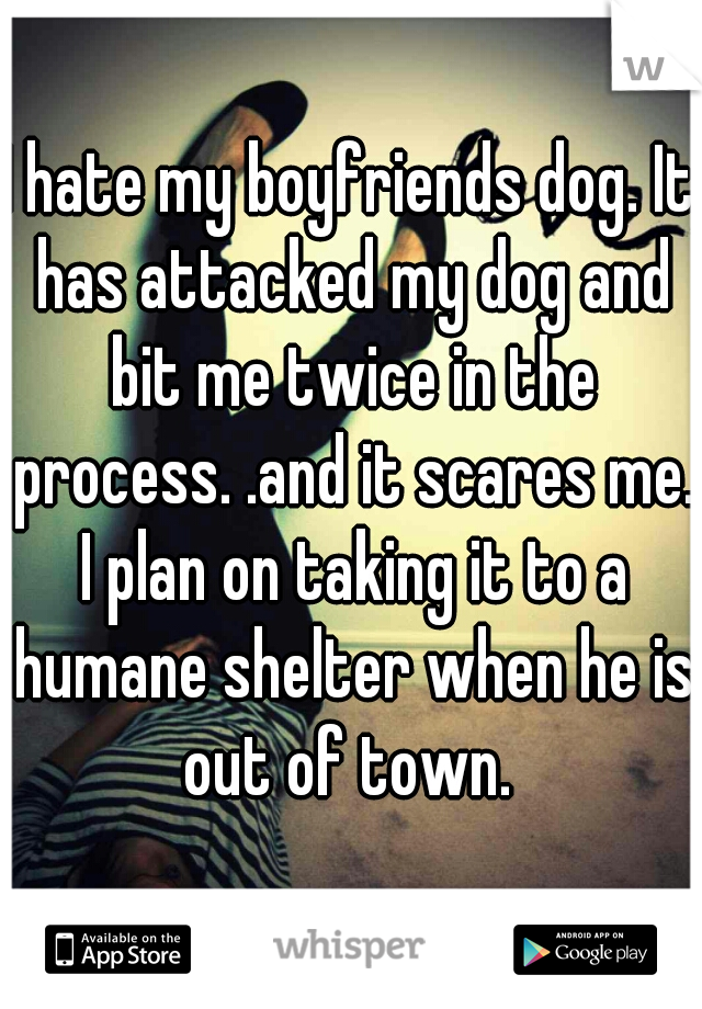 I hate my boyfriends dog. It has attacked my dog and bit me twice in the process. .and it scares me. I plan on taking it to a humane shelter when he is out of town. 