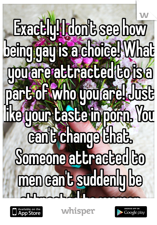 Exactly! I don't see how being gay is a choice! What you are attracted to is a part of who you are! Just like your taste in porn. You can't change that. Someone attracted to men can't suddenly be attracted to women