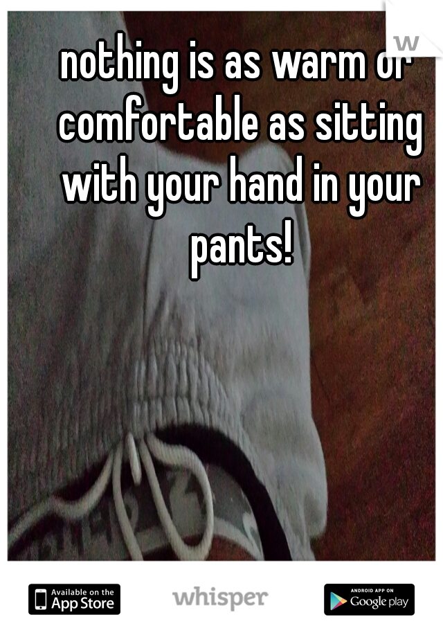 nothing is as warm or comfortable as sitting with your hand in your pants!