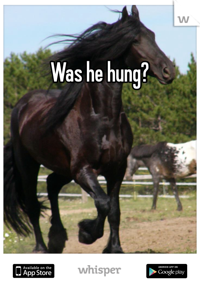 Was he hung?