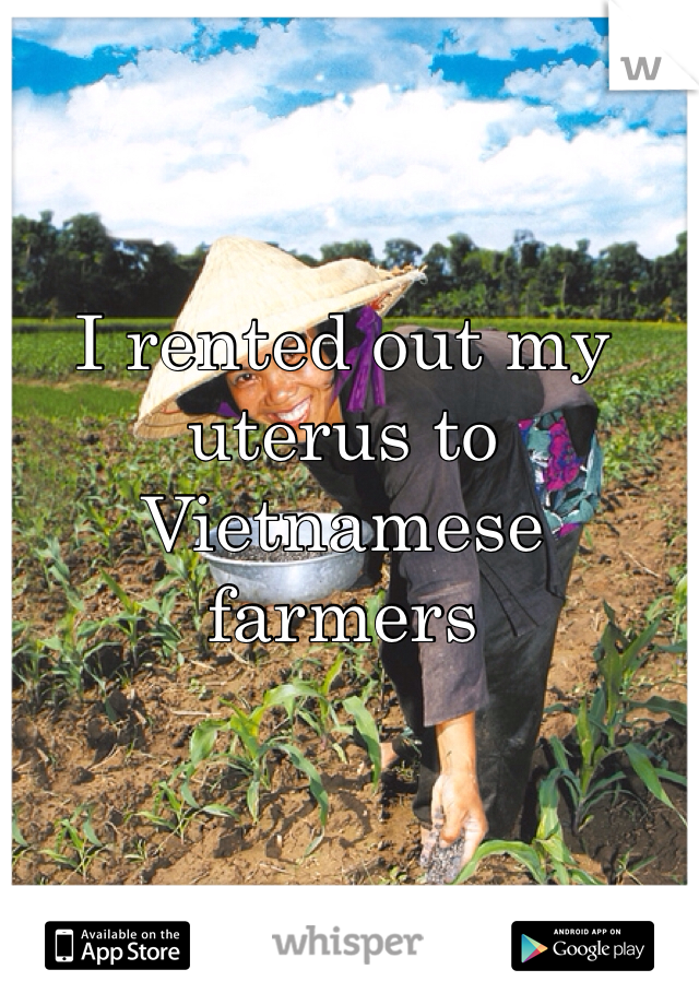 I rented out my uterus to Vietnamese farmers