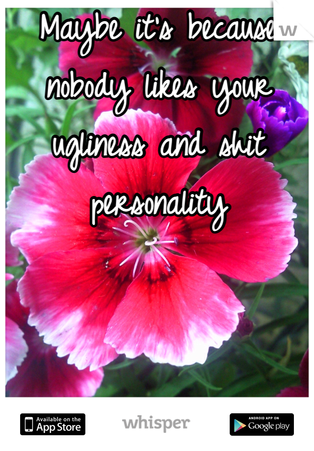 Maybe it's because nobody likes your ugliness and shit personality