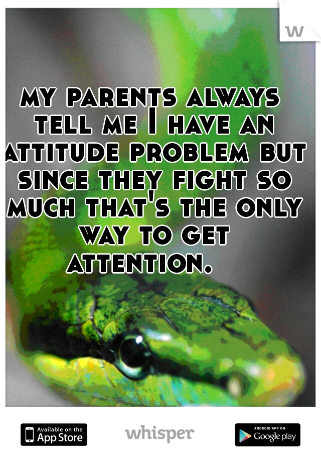 my parents always tell me I have an attitude problem but since they fight so much that's the only way to get attention.   