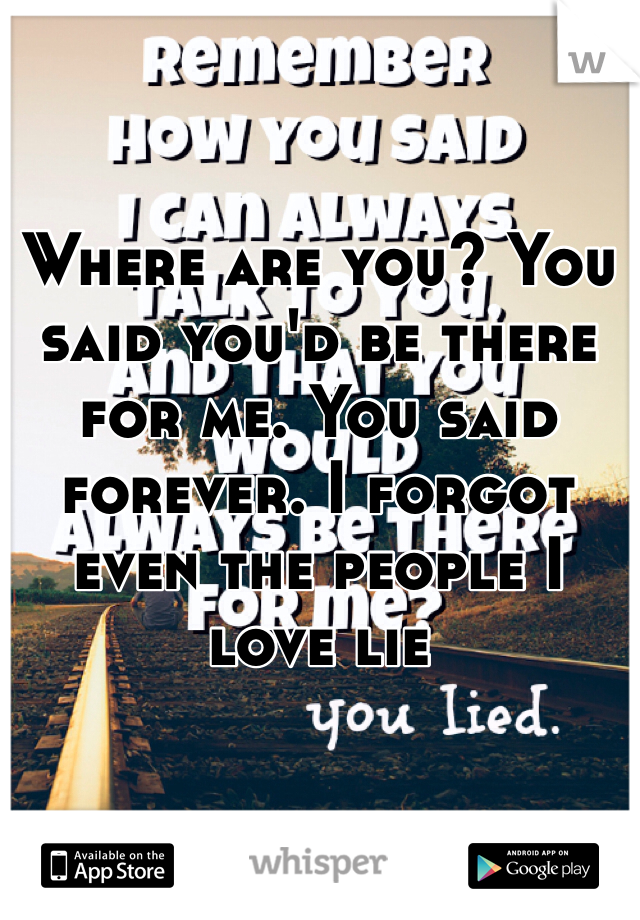 Where are you? You said you'd be there for me. You said forever. I forgot even the people I love lie 