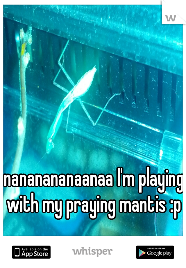 nananananaanaa I'm playing with my praying mantis :p 