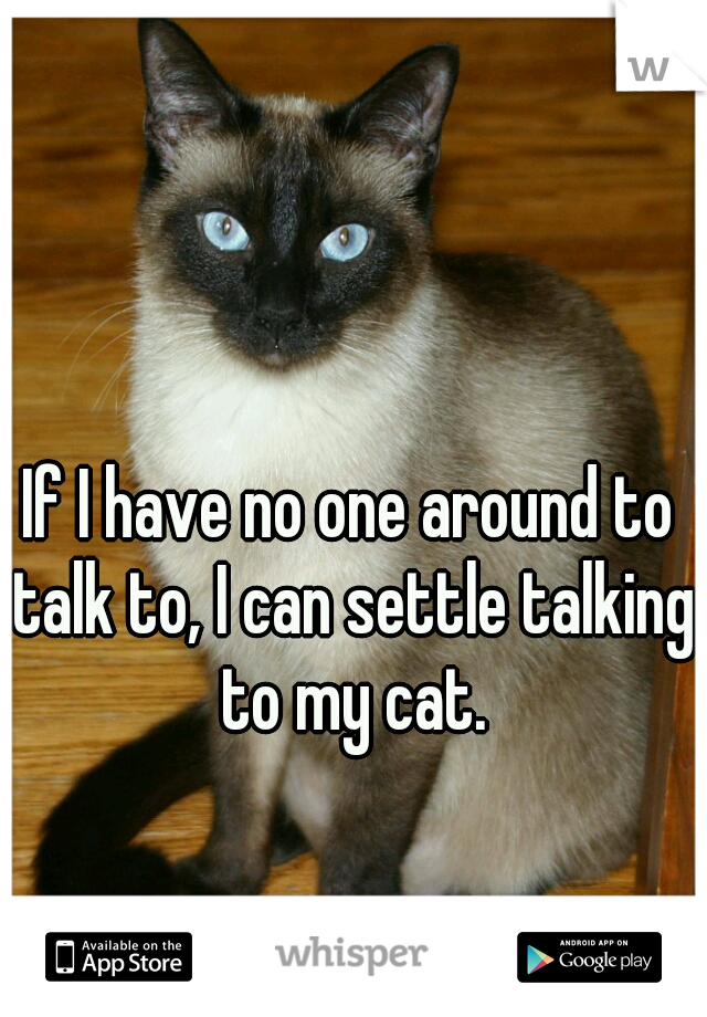 If I have no one around to talk to, I can settle talking to my cat.