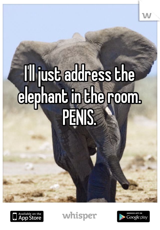 I'll just address the elephant in the room. PENIS.