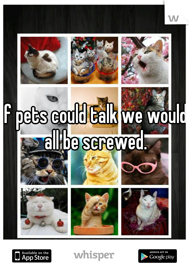 If pets could talk we would all be screwed.