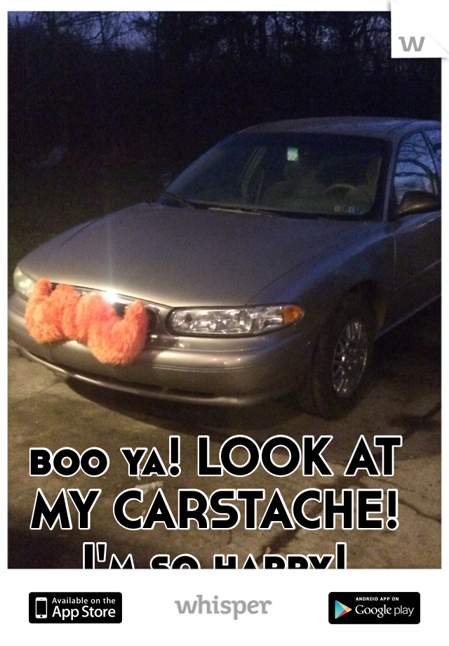 boo ya! LOOK AT MY CARSTACHE! I'm so happy! 