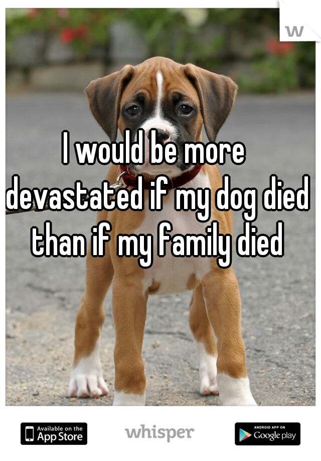 I would be more devastated if my dog died than if my family died