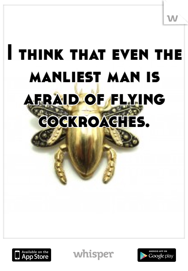 I think that even the manliest man is afraid of flying cockroaches. 