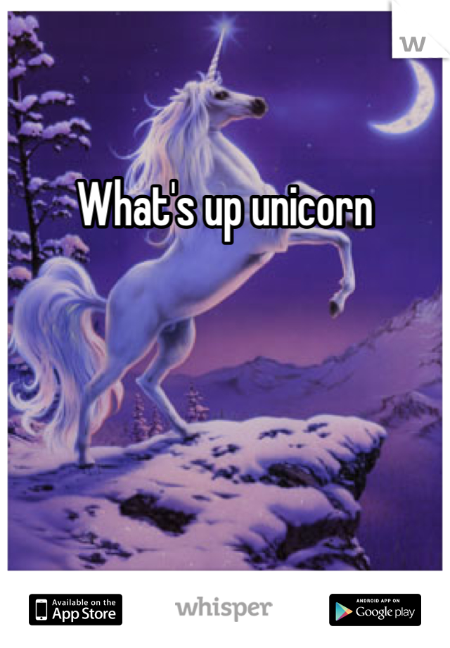 What's up unicorn 