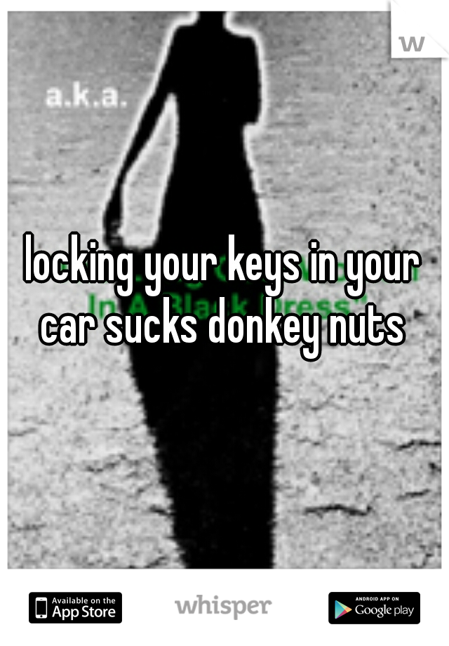 locking your keys in your car sucks donkey nuts 